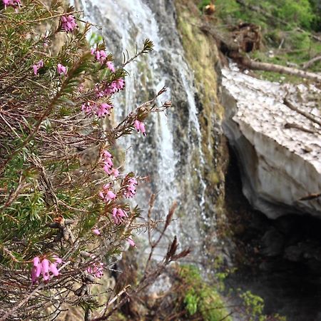 Rifugio Capanna Bill Ξενοδοχείο Rocca Pietore Εξωτερικό φωτογραφία
