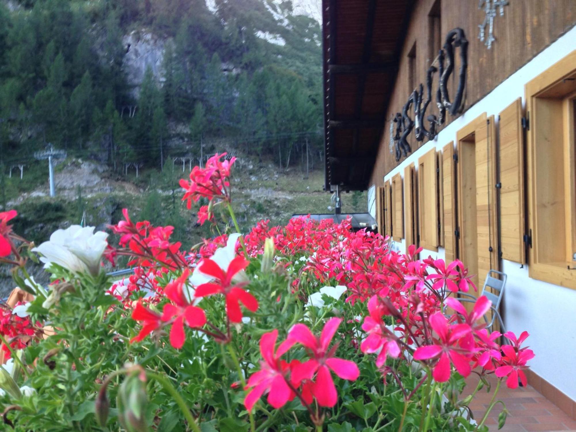 Rifugio Capanna Bill Ξενοδοχείο Rocca Pietore Εξωτερικό φωτογραφία